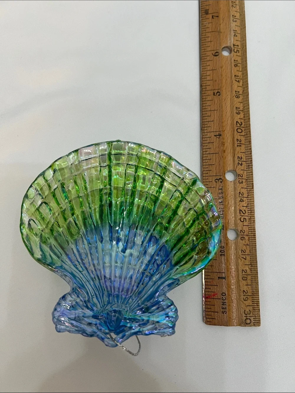 Blue and Green Iridescent Ombré Plastic Scallop Shell Ornament